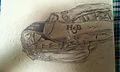 baseball_glove.jpg