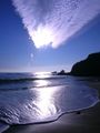 4542lagunabeach-small.jpg