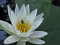 DVC00153.JPG