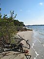 Picture_025.jpg