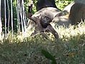 100_0327.JPG