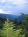 dolly_sods.jpg