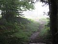 foggy_2.jpg