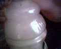 499FilteredMilked.jpg