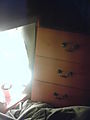 DSC00362.JPG