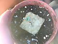 DSC00368.JPG