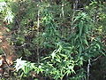 DSC02670.JPG