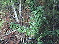 DSC02689.JPG