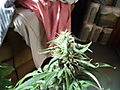 Imported_Photos_00682.JPG