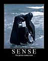 sense.jpg