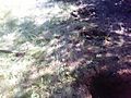 05-29-07_0911.jpg