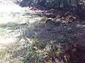 05-29-07_1007.jpg