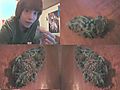 bud4.JPG