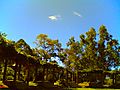 18072007_009_.jpg