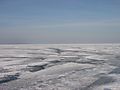 Photo20060129.JPG